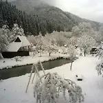 Lesivykh Guest house 3*
