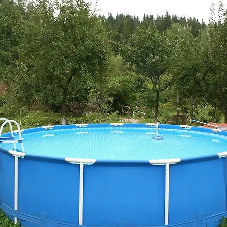 Lesivykh Guest house