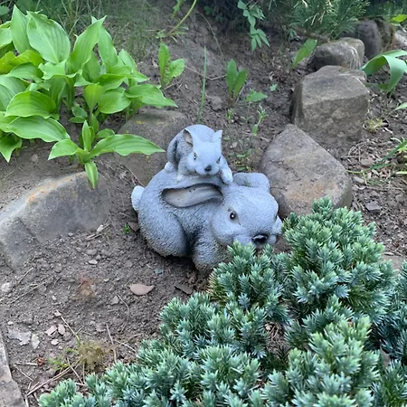 Guest house Lesivykh Slavske