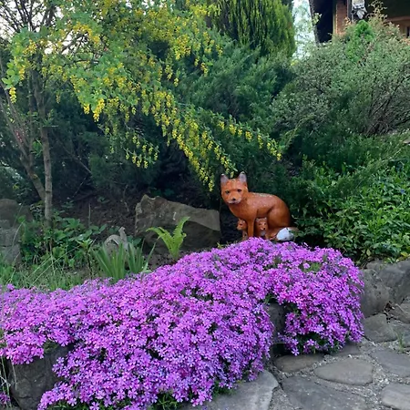 Lesivykh Guest house Slavske