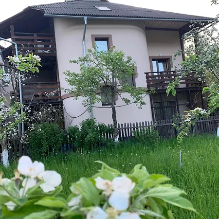 Lesivykh