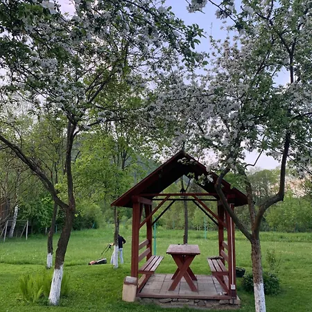 Lesivykh Guest house