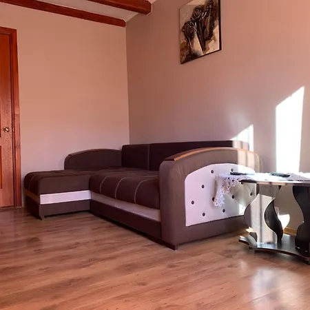 Lesivykh Guest house