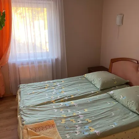 Lesivykh Guest house
