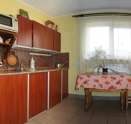 Guest house Lesivykh