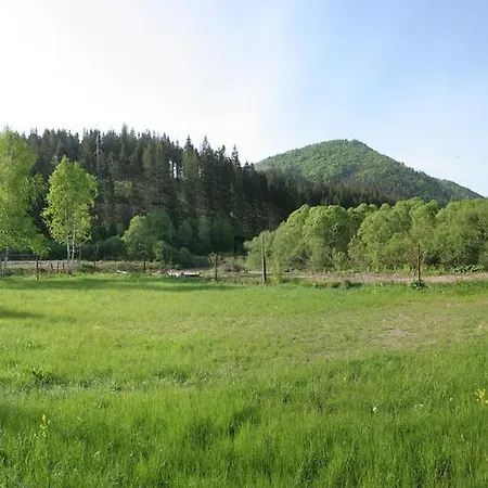 Guest house Lesivykh 3*