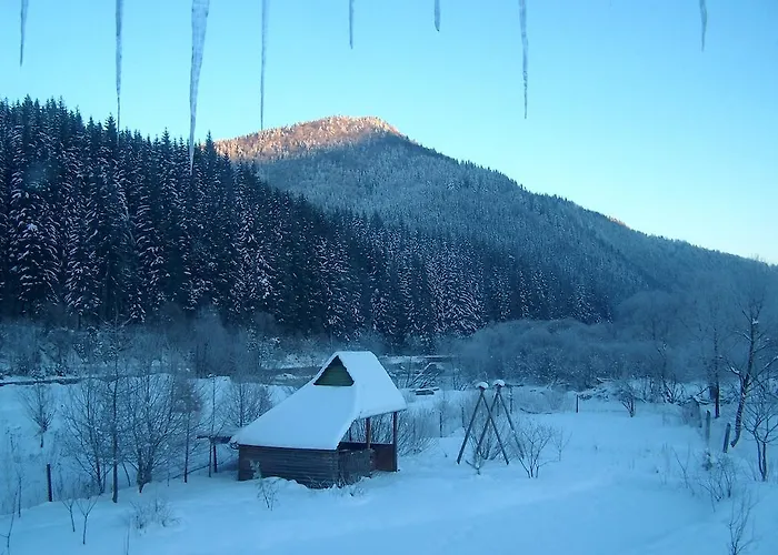 Lesivykh 3*