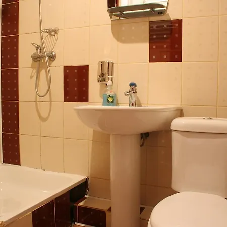 Lesivykh Guest house *