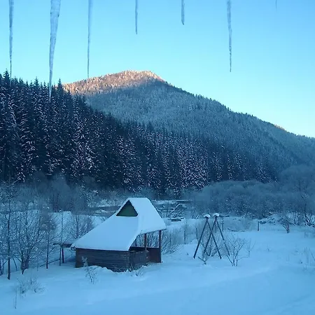 Lesivykh *