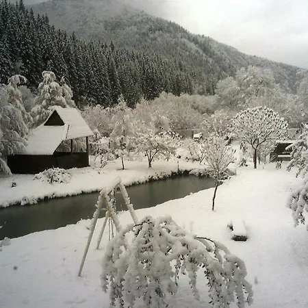 Lesivykh Guest house *