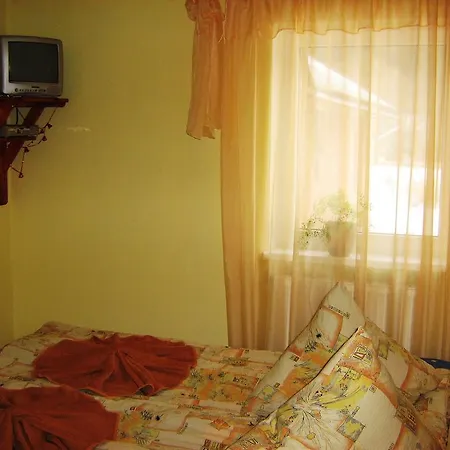 Lesivykh Guest house *