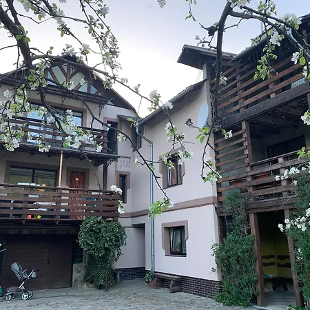 Guest house Lesivykh *