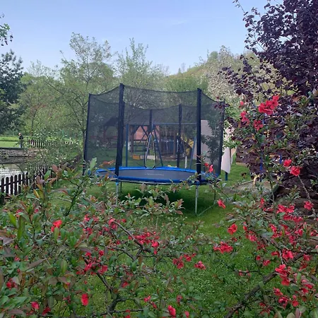 Lesivykh Guest house *
