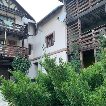Guest house Lesivykh *