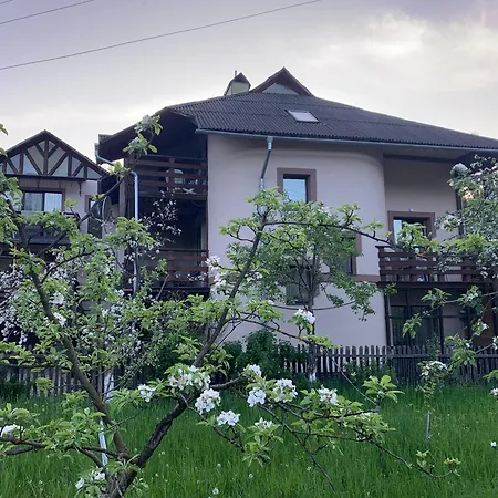 Lesivykh *