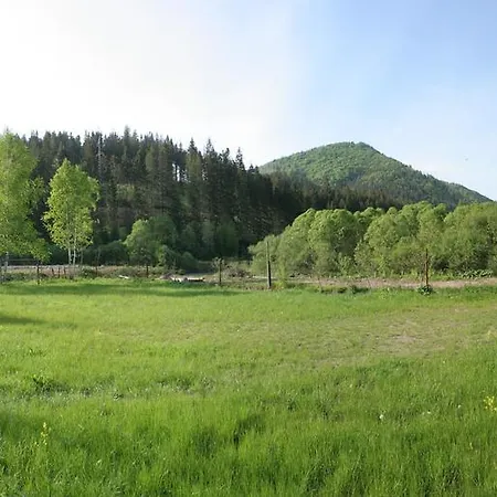 Guest house Lesivykh *