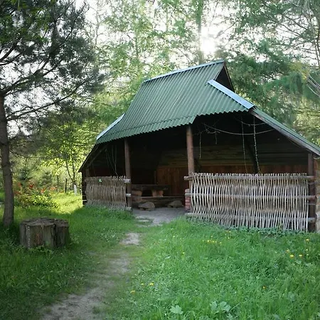 Lesivykh Guest house *