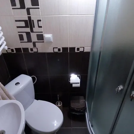 Lesivykh Guest house *
