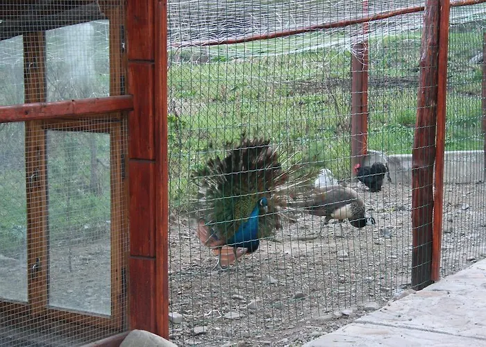 Casa de hóspedes Lesivykh Slavske