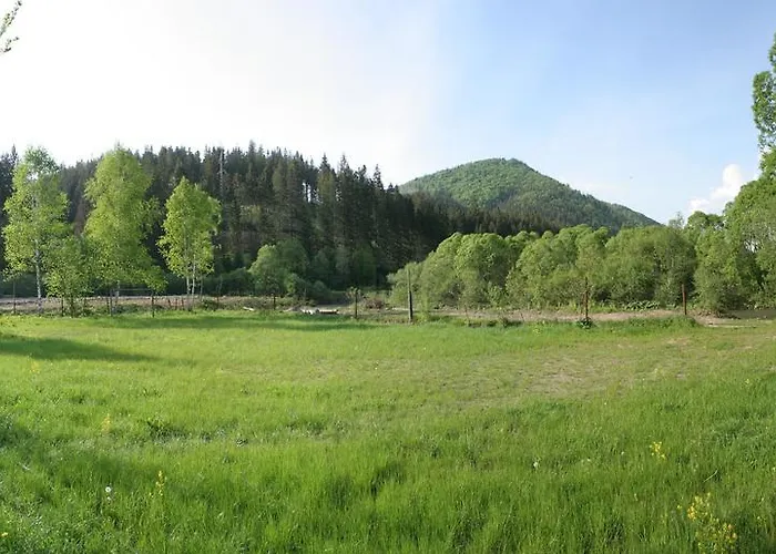 Casa de hóspedes Lesivykh 3*