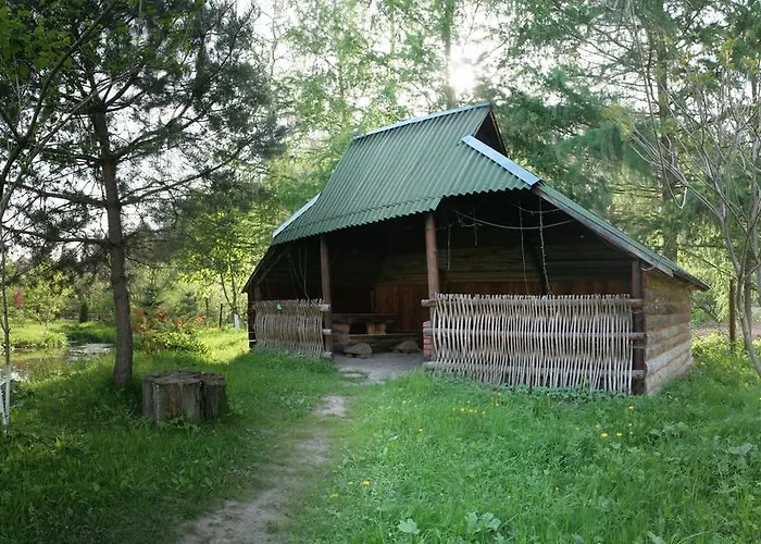 Lesivykh Casa de hóspedes 3*